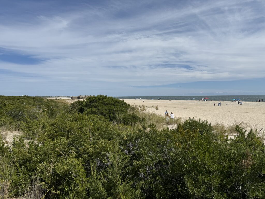 a group of people walking on a beach (MyCoast AI)
