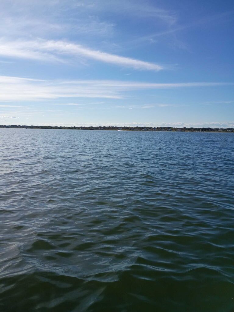 a body of water with land in the distance (MyCoast AI)