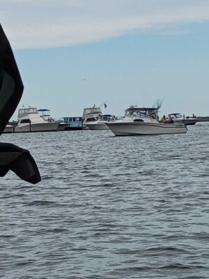 a group of boats in the water (MyCoast AI)