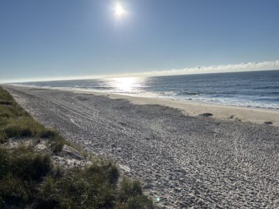 a beach with a body of water and a sunny day (MyCoast AI)