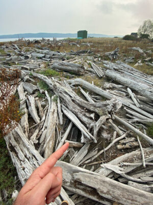 a hand holding a cigarette in front of a pile of wood (MyCoast AI)