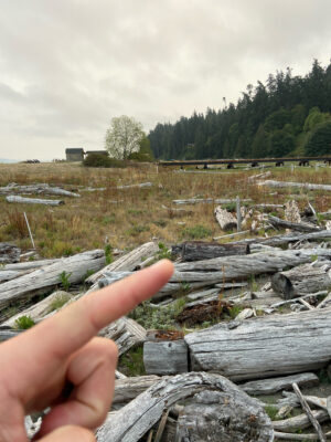 a hand holding a piece of wood (MyCoast AI)