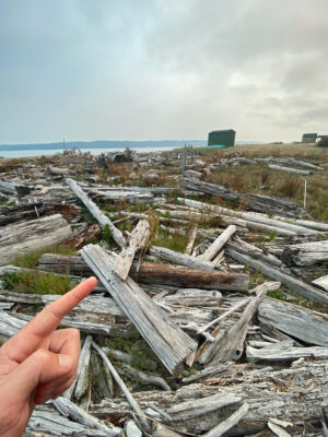 a hand pointing at a pile of wood (MyCoast AI)