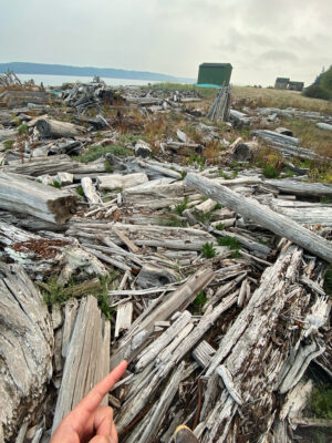 a hand holding a cigarette in front of a pile of wood (MyCoast AI)
