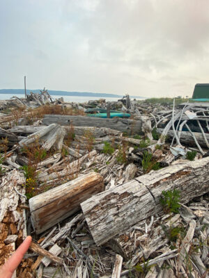 a pile of wood and debris (MyCoast AI)