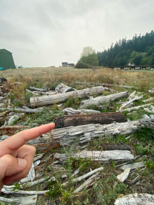 a hand pointing at a pile of cut wood (MyCoast AI)