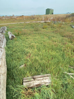 a grassy field with a wooden fence (MyCoast AI)