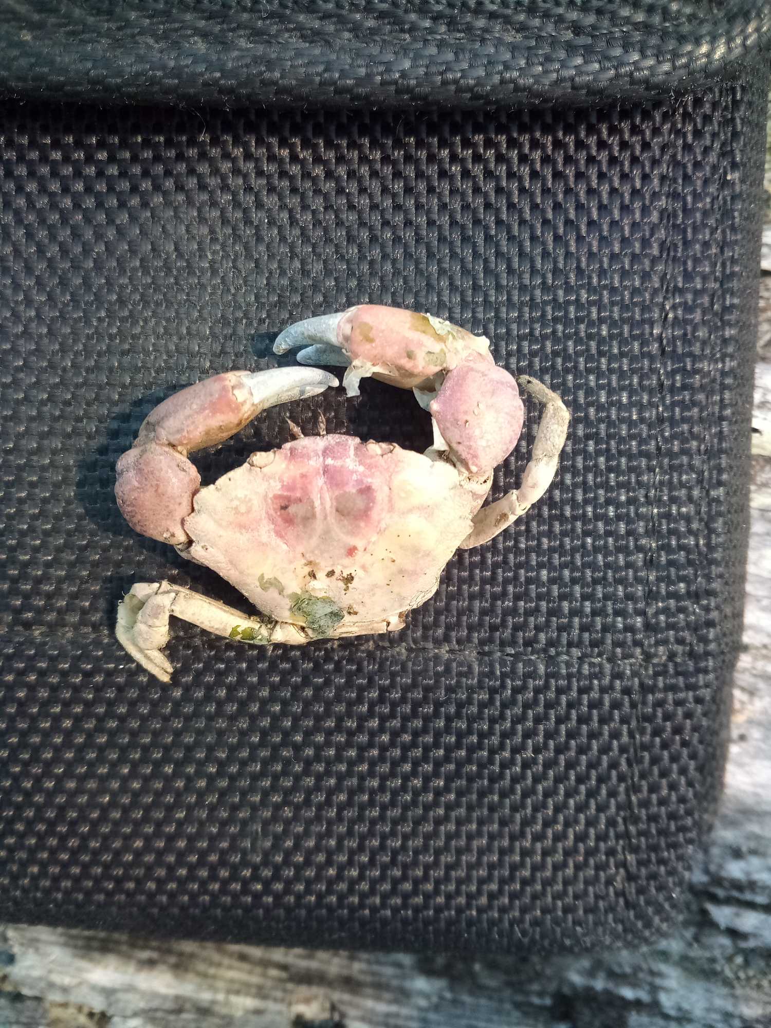 10b3bbf37ec5265839a0c33ec0a5b262d5894764