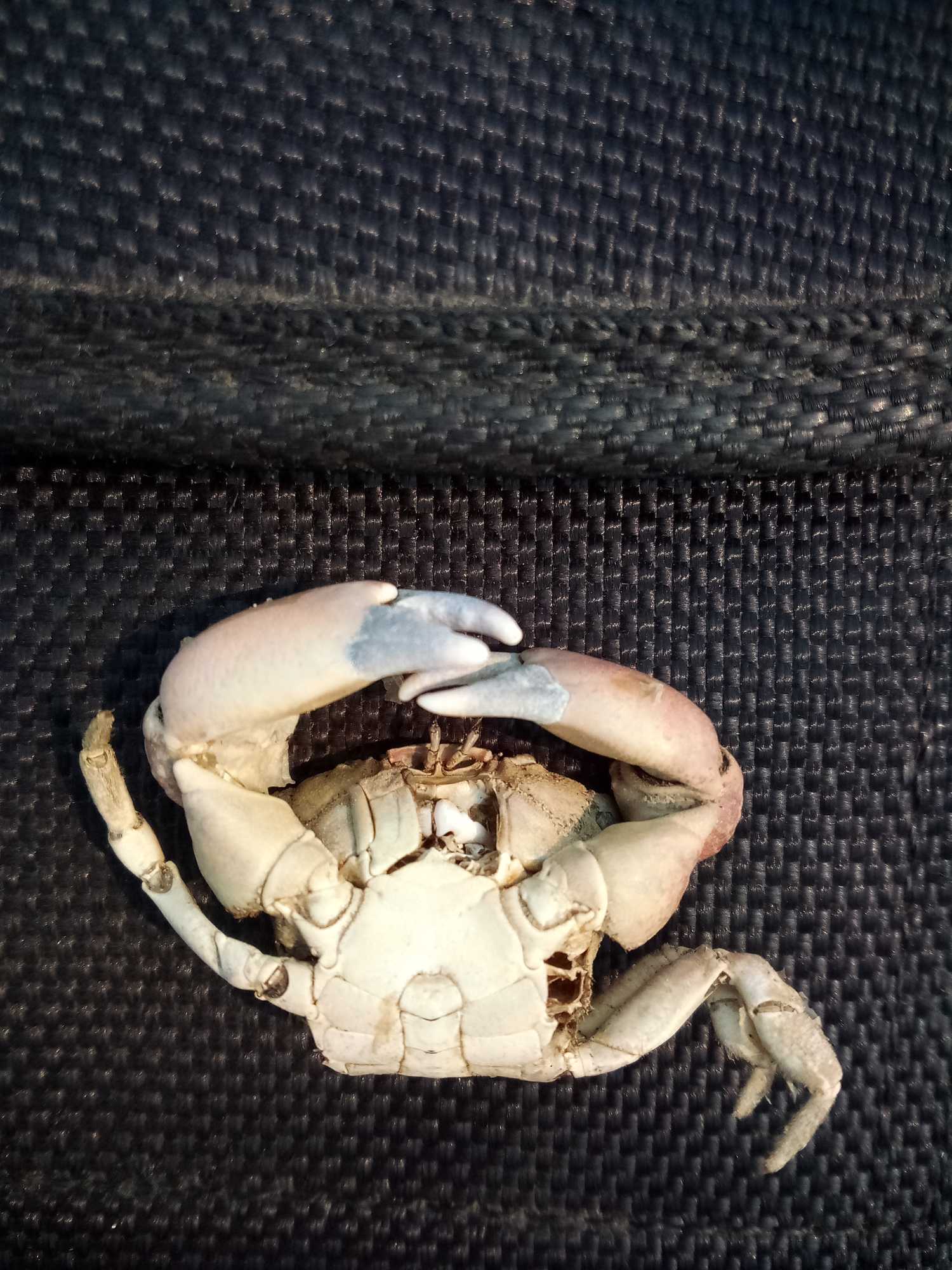 ac543edf627d2cd576b23345b55f1923d1bce78a