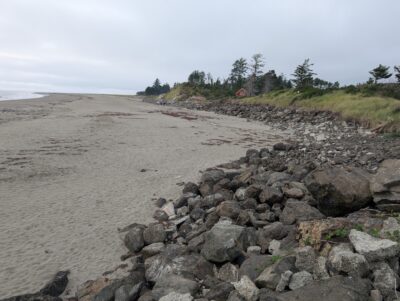 a rocky beach with trees in the background (MyCoast AI)