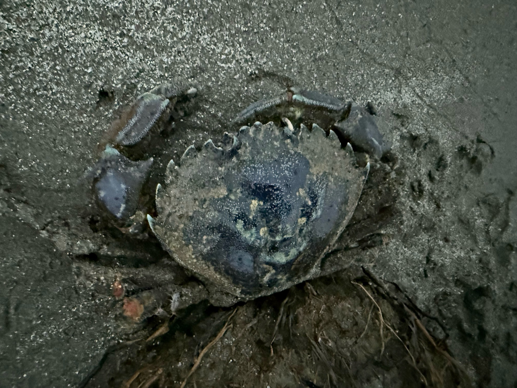 96422ccdb74e73bc65f5e8167eab293522760c6a