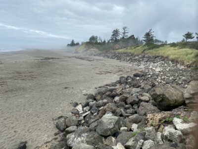 a rocky beach with trees in the background (MyCoast AI)