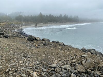 a rocky beach with trees in the background (MyCoast AI)
