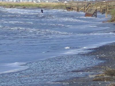 a person in the water (MyCoast AI)