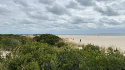 a person walking on a beach (MyCoast AI)