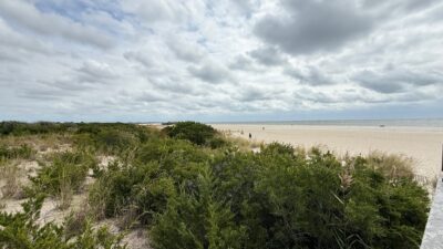 a beach with bushes and trees (MyCoast AI)