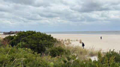 people walking on a beach (MyCoast AI)