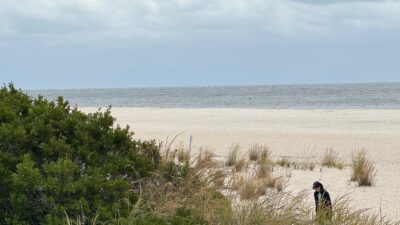 a person standing on a beach (MyCoast AI)