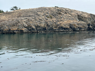 a rocky hill next to a body of water (MyCoast AI)