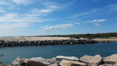 a body of water with rocks and trees in the background (MyCoast AI)