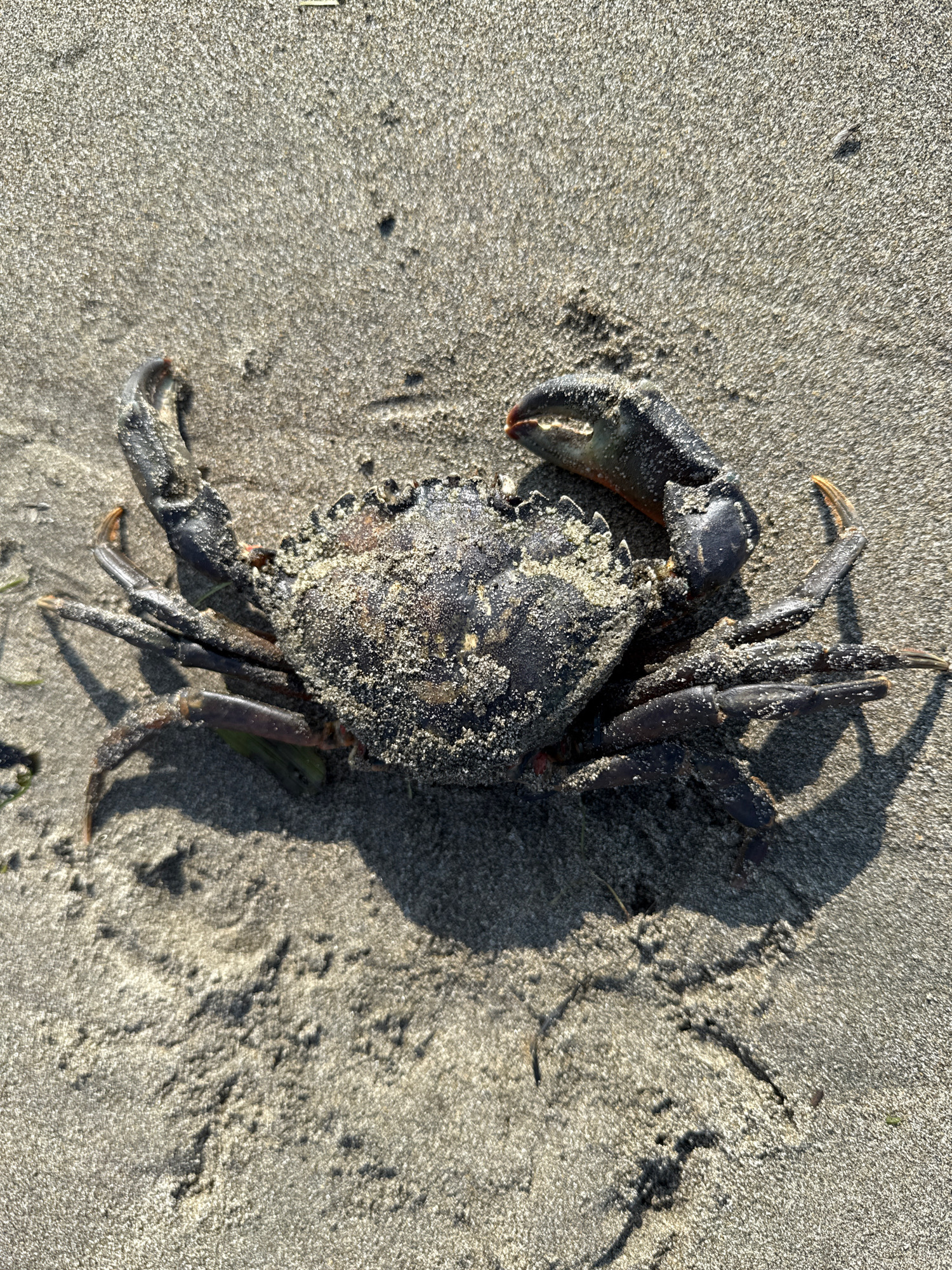 7fab4b75e8a8d3c73c6c57d5c5cd9c6fbd9028e1