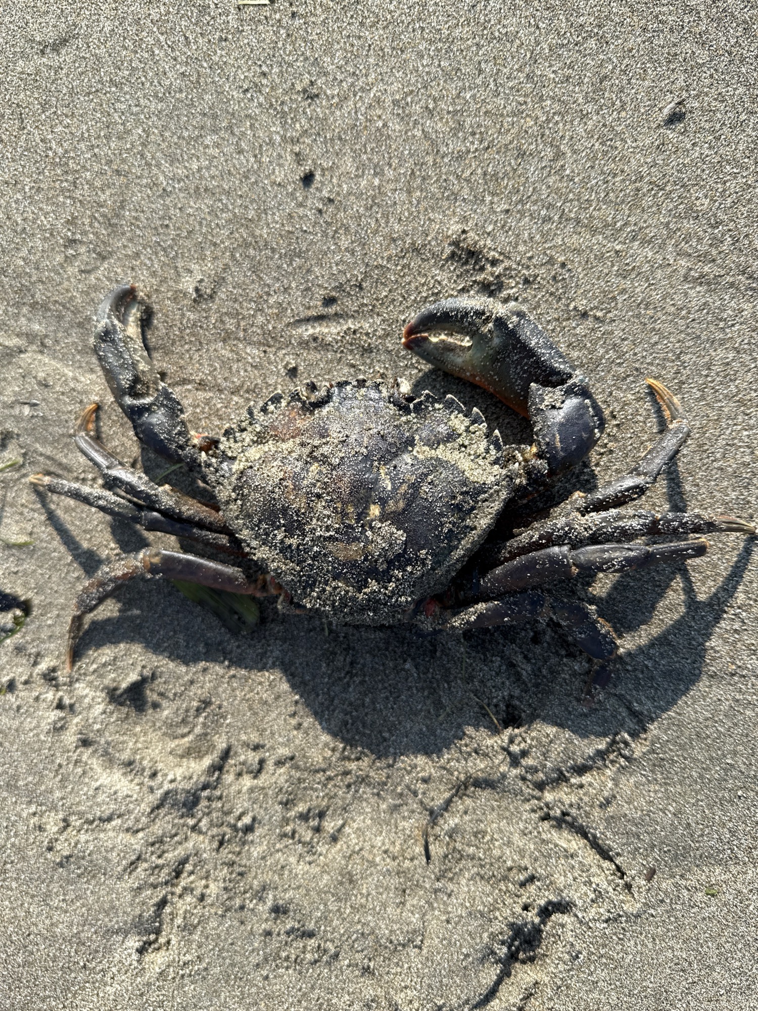 07ec217eea8738565ccc9f6c0b1d494f99b05696