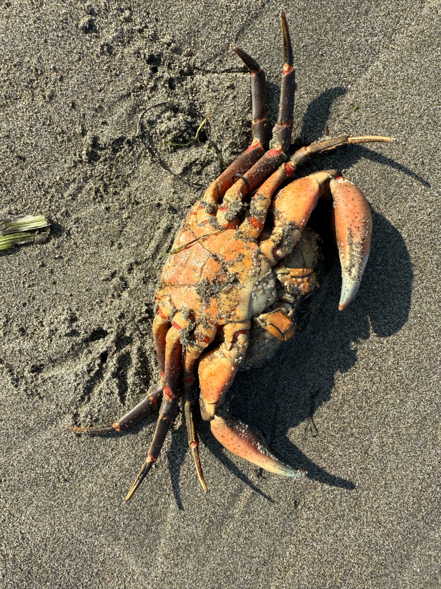 8beb8bd40adcbc2107c4b9ee806338b4ad7e5de3