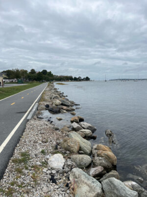 a road next to a body of water (MyCoast AI)