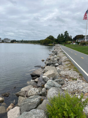 a road next to a body of water (MyCoast AI)