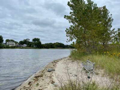a bench sits by a river (MyCoast AI)
