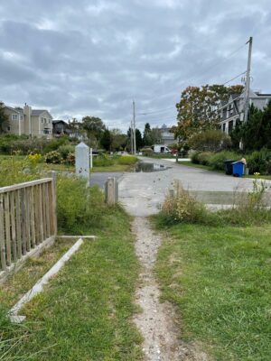 a dirt road with grass and trees (MyCoast AI)