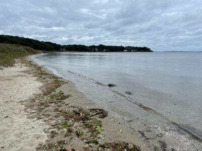 a beach with a body of water (MyCoast AI)