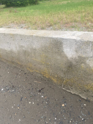 a puddle on the ground (MyCoast AI)