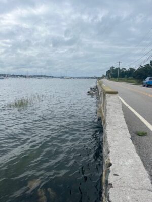 a road next to a body of water (MyCoast AI)