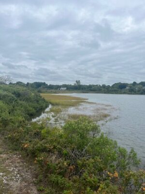 a river with trees and bushes around it (MyCoast AI)