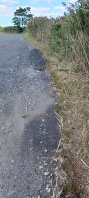 a road with grass and trees on the side (MyCoast AI)