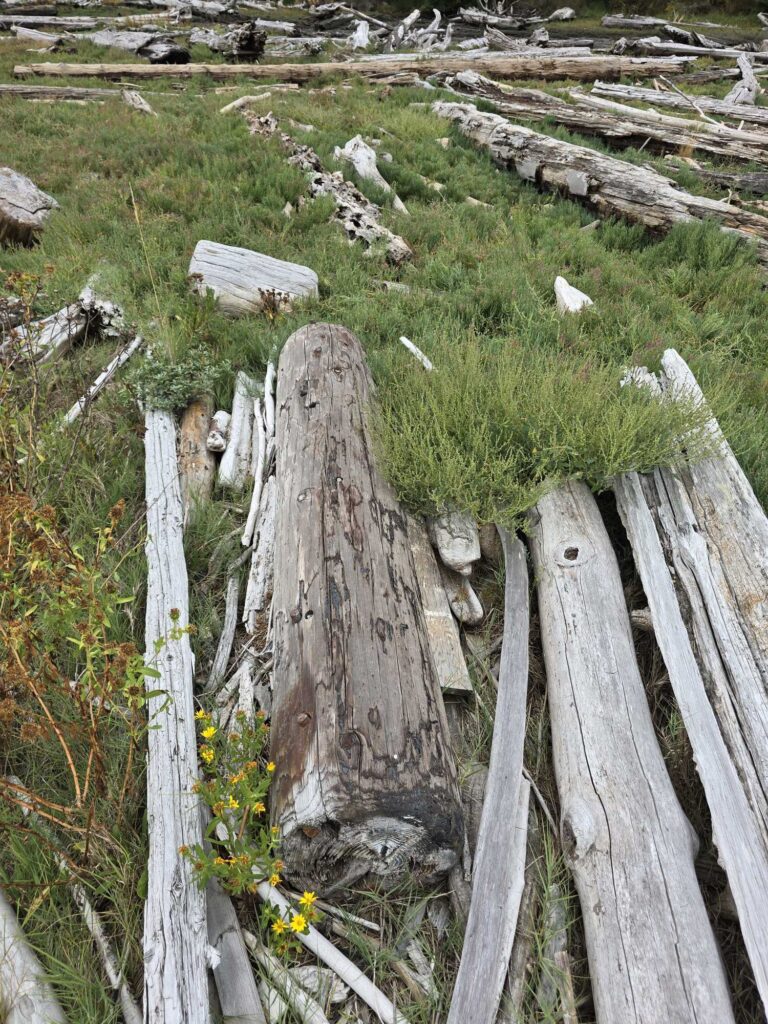 a wooden fence in a grassy area (MyCoast AI)