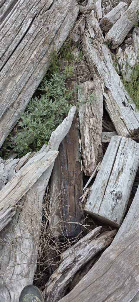 a wooden bridge with a stream (MyCoast AI)