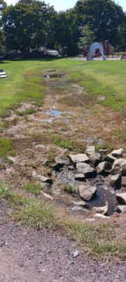 a small pond in a park (MyCoast AI)