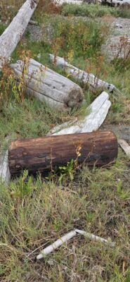 a wooden fence in a grassy area (MyCoast AI)