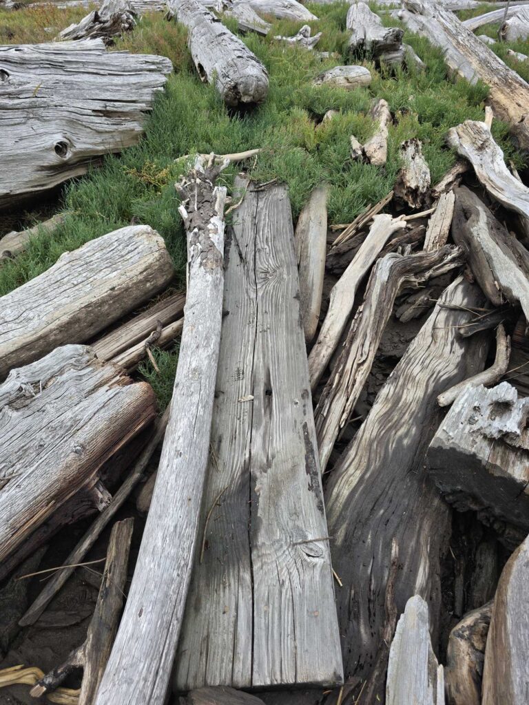 a wooden fence with logs (MyCoast AI)