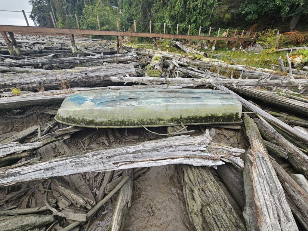 a pile of wood and logs (MyCoast AI)