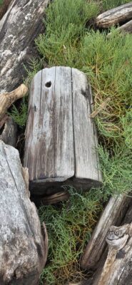 a wood carving on a tree stump (MyCoast AI)