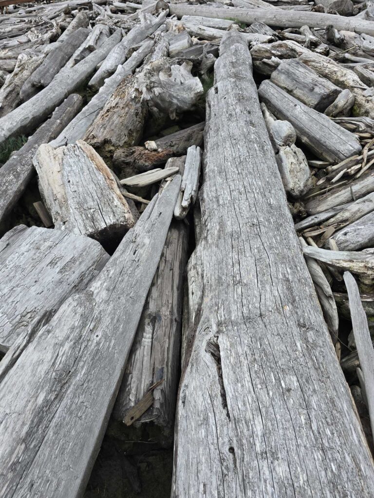 a close up of a wooden fence (MyCoast AI)