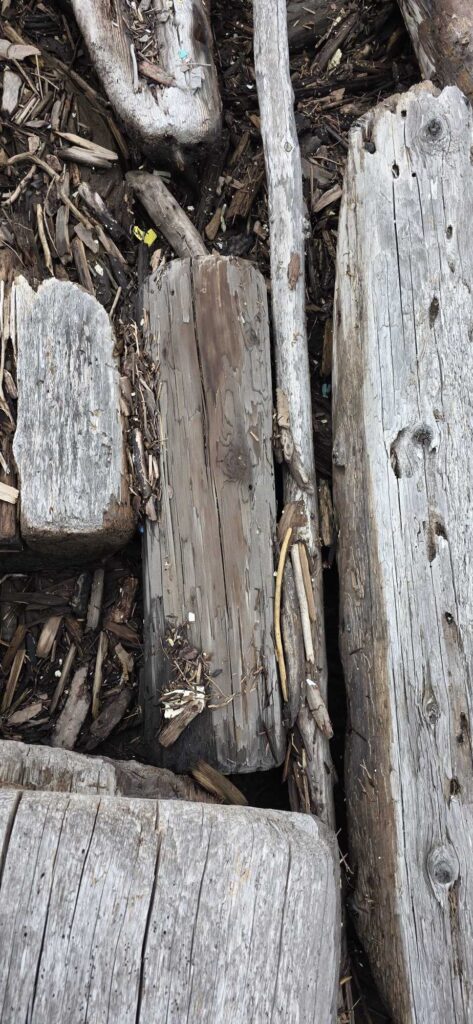 a group of wood planks (MyCoast AI)