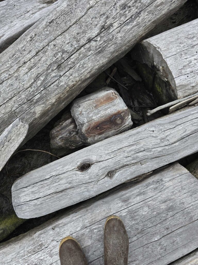 a group of wood pieces (MyCoast AI)