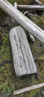 a wooden fence with a log (MyCoast AI)