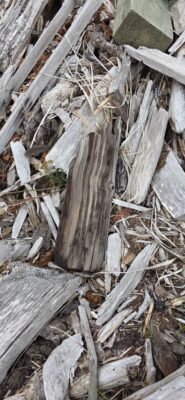 a pile of wood (MyCoast AI)