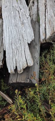 a wooden fence with a hole in it (MyCoast AI)