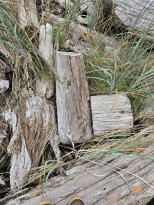 a wooden fence with a hole in it (MyCoast AI)